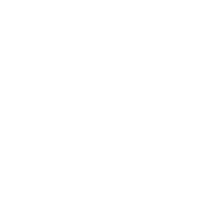 DNM Logo White